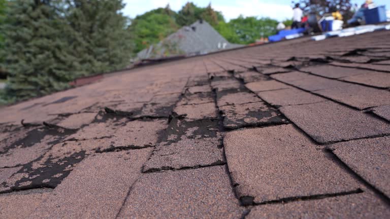4 Ply Roofing in Hilton, NY